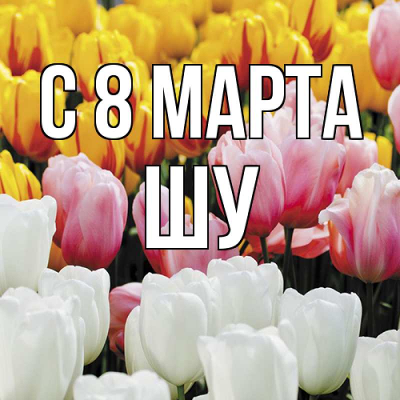 Картинка C 8 МАРТА, Шу