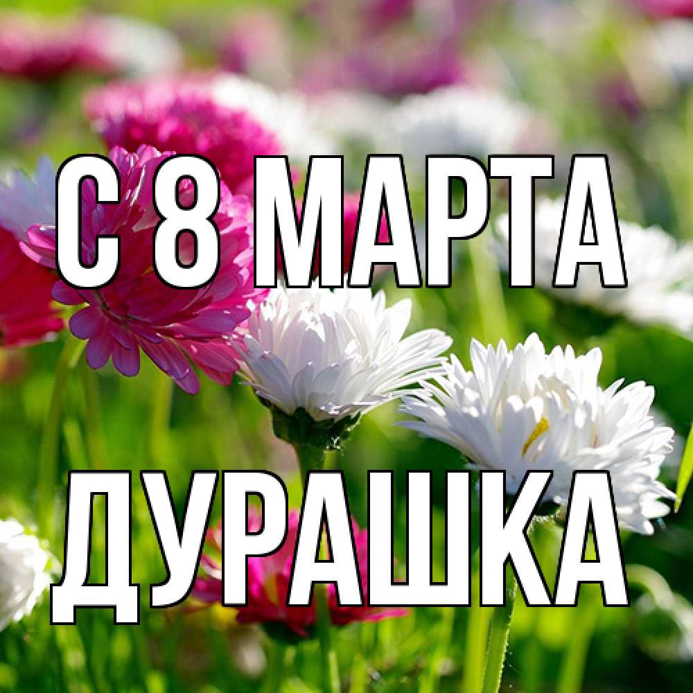 Открытка на каждый день с именем, Дурашка C 8 МАРТА международный женский день 1 Прикольная открытка с пожеланием онлайн скачать бесплатно 