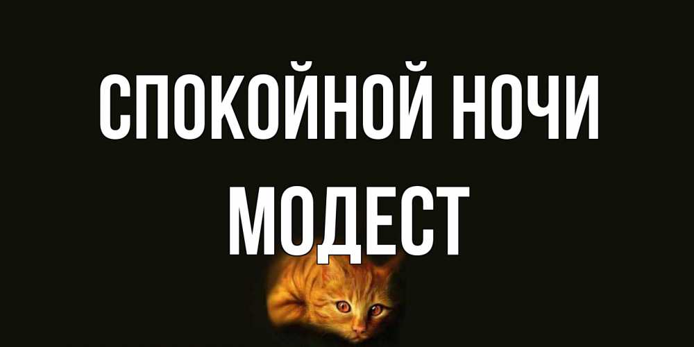 Открытка на каждый день с именем, Модест Спокойной ночи кот Прикольная открытка с пожеланием онлайн скачать бесплатно 