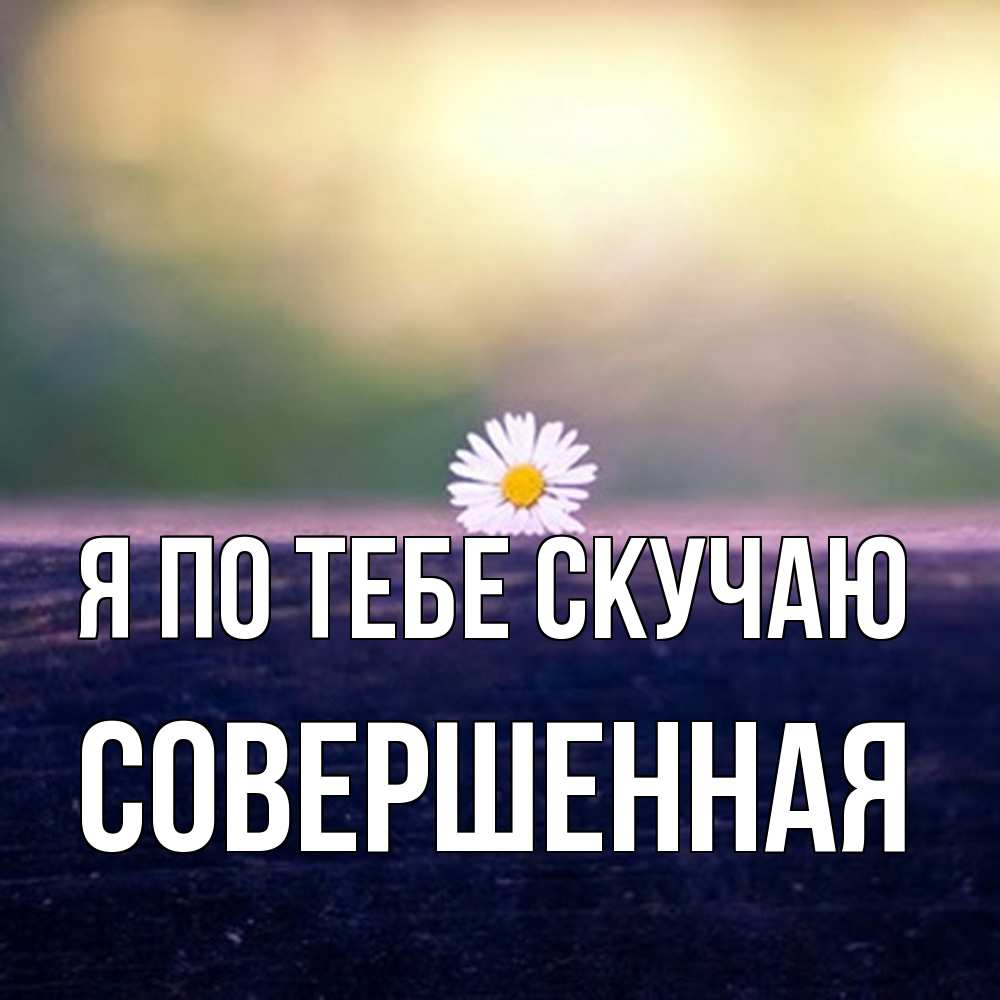 Открытка на каждый день с именем, Совершенная Я по тебе скучаю приходи в гости Прикольная открытка с пожеланием онлайн скачать бесплатно 