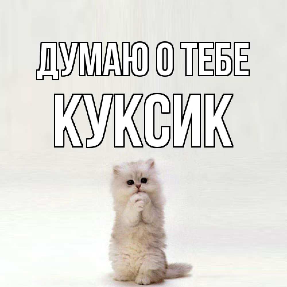 Открытка на каждый день с именем, куксик Думаю о тебе кот стоит на задних лапах Прикольная открытка с пожеланием онлайн скачать бесплатно 