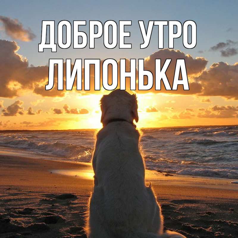 Картинка Доброе утро, Липонька