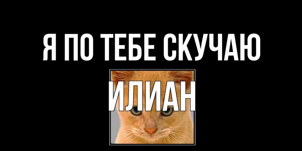 Открытка на каждый день с именем, Илиан Я по тебе скучаю открытки рыжий котенок скучает по тебе Прикольная открытка с пожеланием онлайн скачать бесплатно 