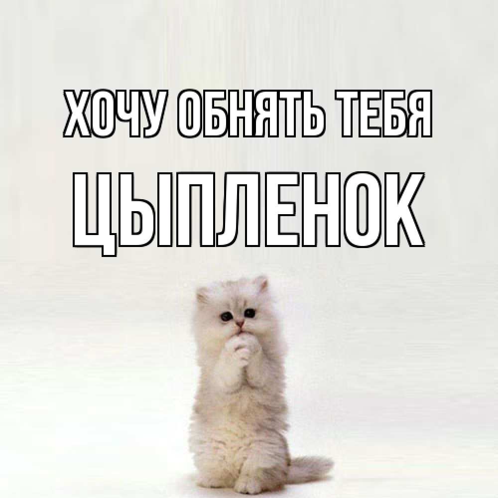 Открытка на каждый день с именем, Цыпленок Хочу обнять тебя открытки с креативными подписями Прикольная открытка с пожеланием онлайн скачать бесплатно 