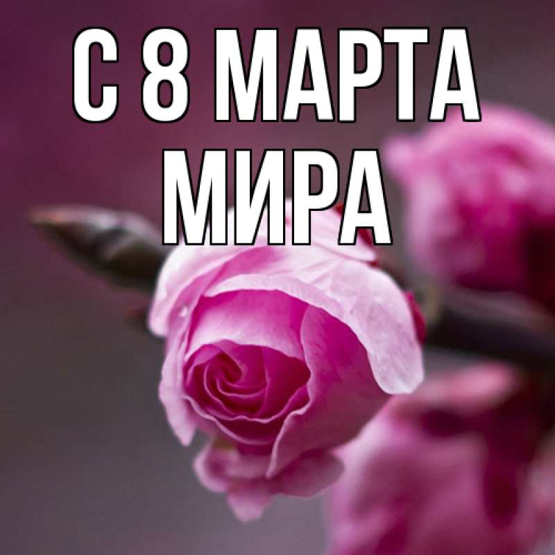Картинка C 8 МАРТА, Мира