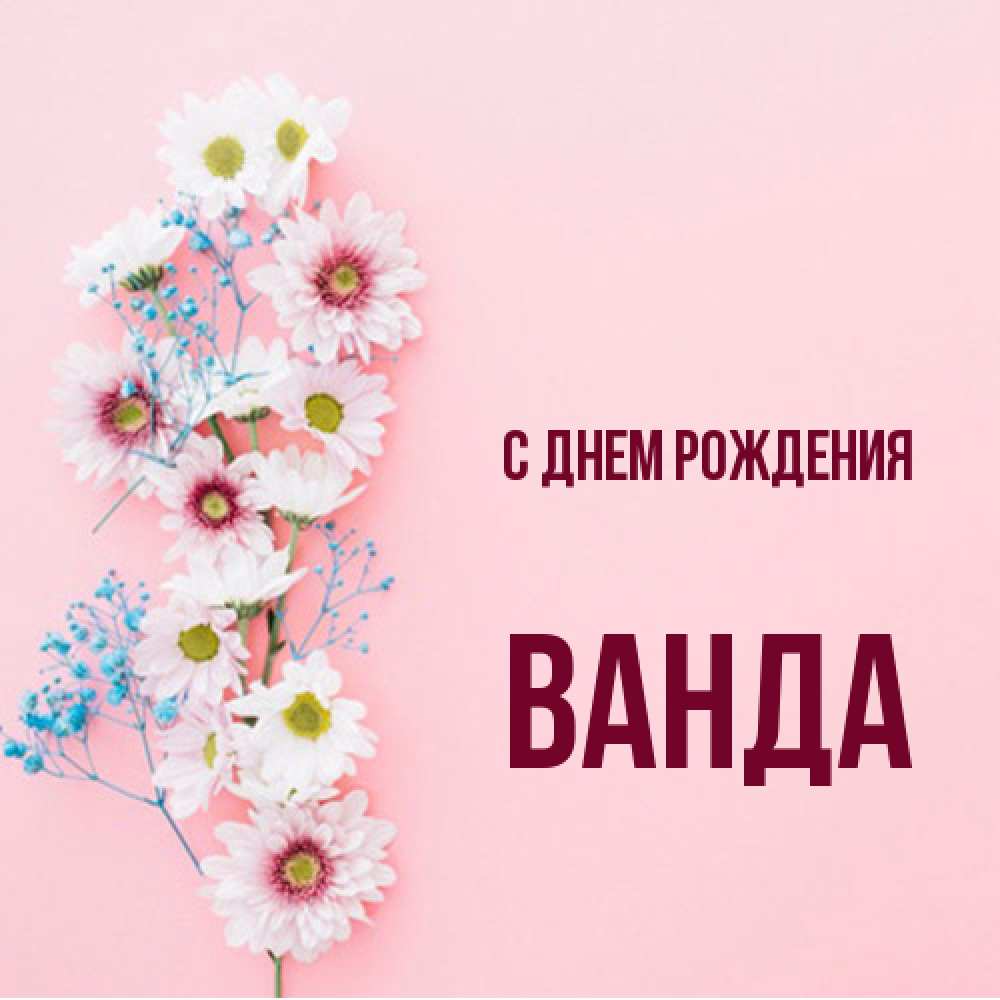 Открытка на каждый день с именем, Ванда С днем рождения Родная моя с днем рождения тебя картинка с цветами белыми и голубыми Прикольная открытка с пожеланием онлайн скачать бесплатно 