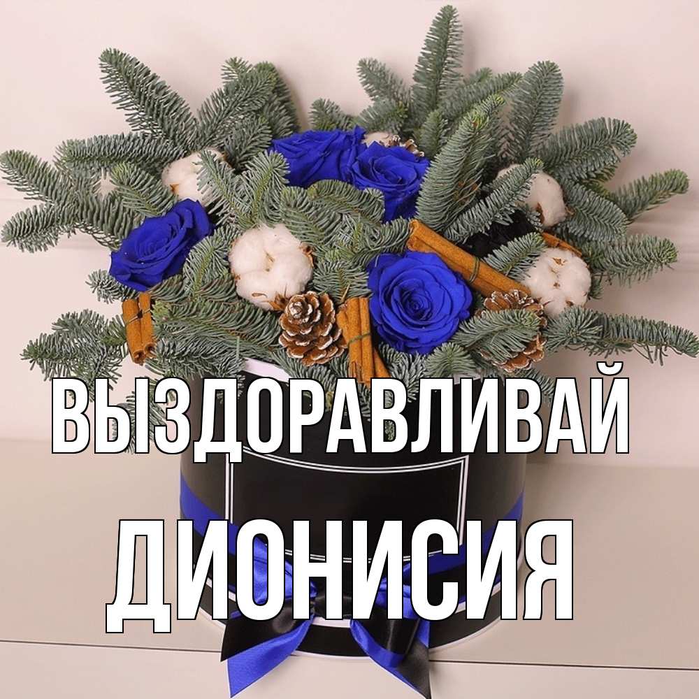 Открытка на каждый день с именем, Дионисия Выздоравливай короче кто то загрузил эти шишки Прикольная открытка с пожеланием онлайн скачать бесплатно 