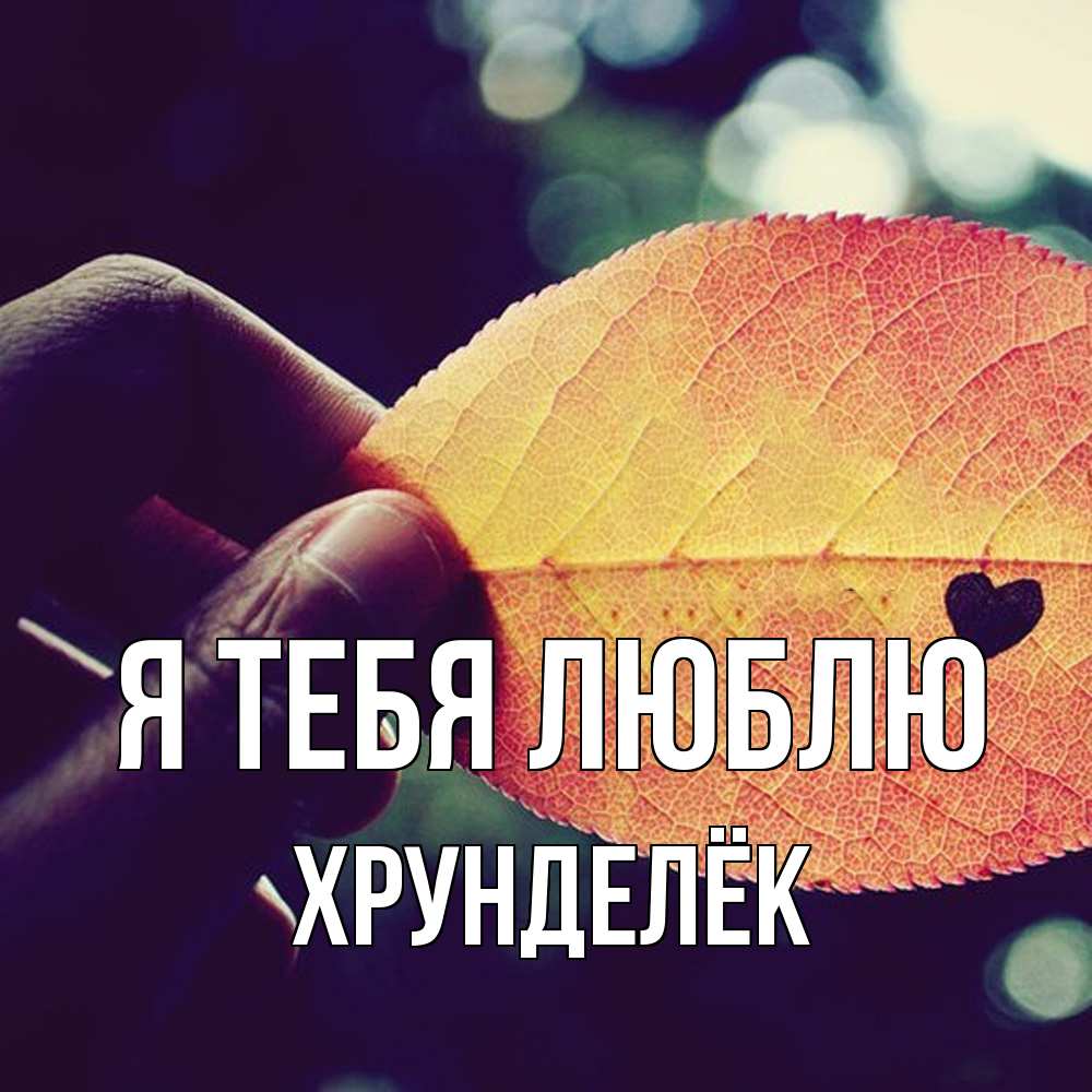 Открытка на каждый день с именем, Хрунделёк Я тебя люблю держу лист Прикольная открытка с пожеланием онлайн скачать бесплатно 