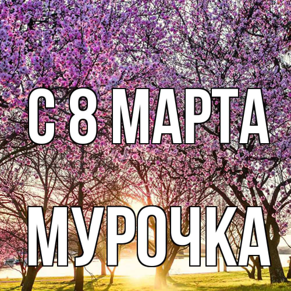 Открытка на каждый день с именем, Мурочка C 8 МАРТА международный женский день Прикольная открытка с пожеланием онлайн скачать бесплатно 