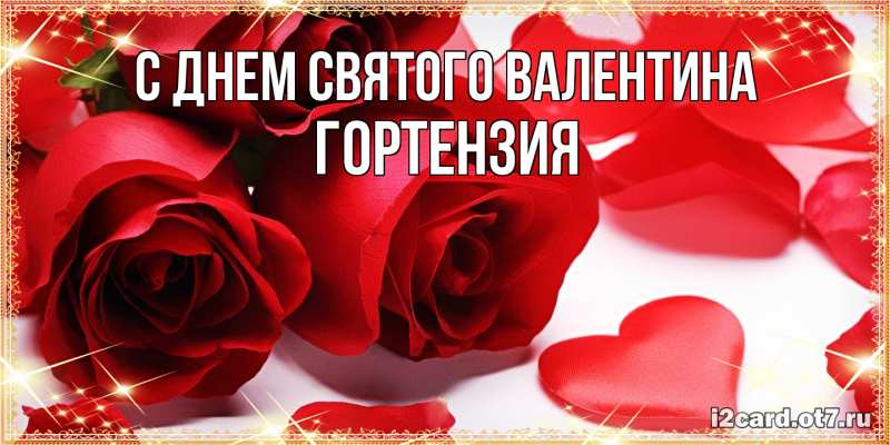 Картинка С днем Святого Валентина, Гортензия