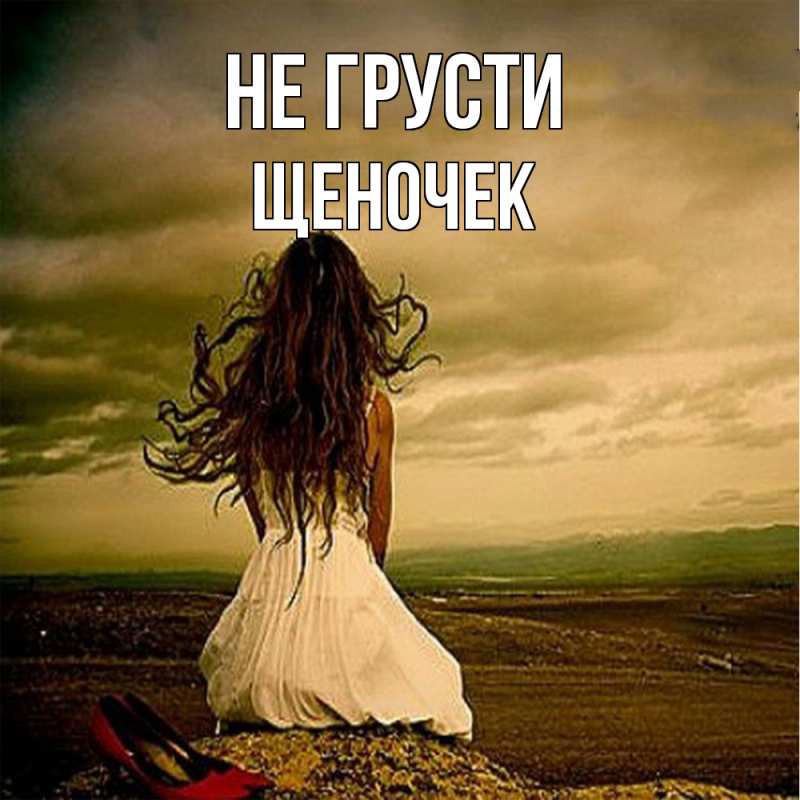 Картинка Не грусти, Щеночек