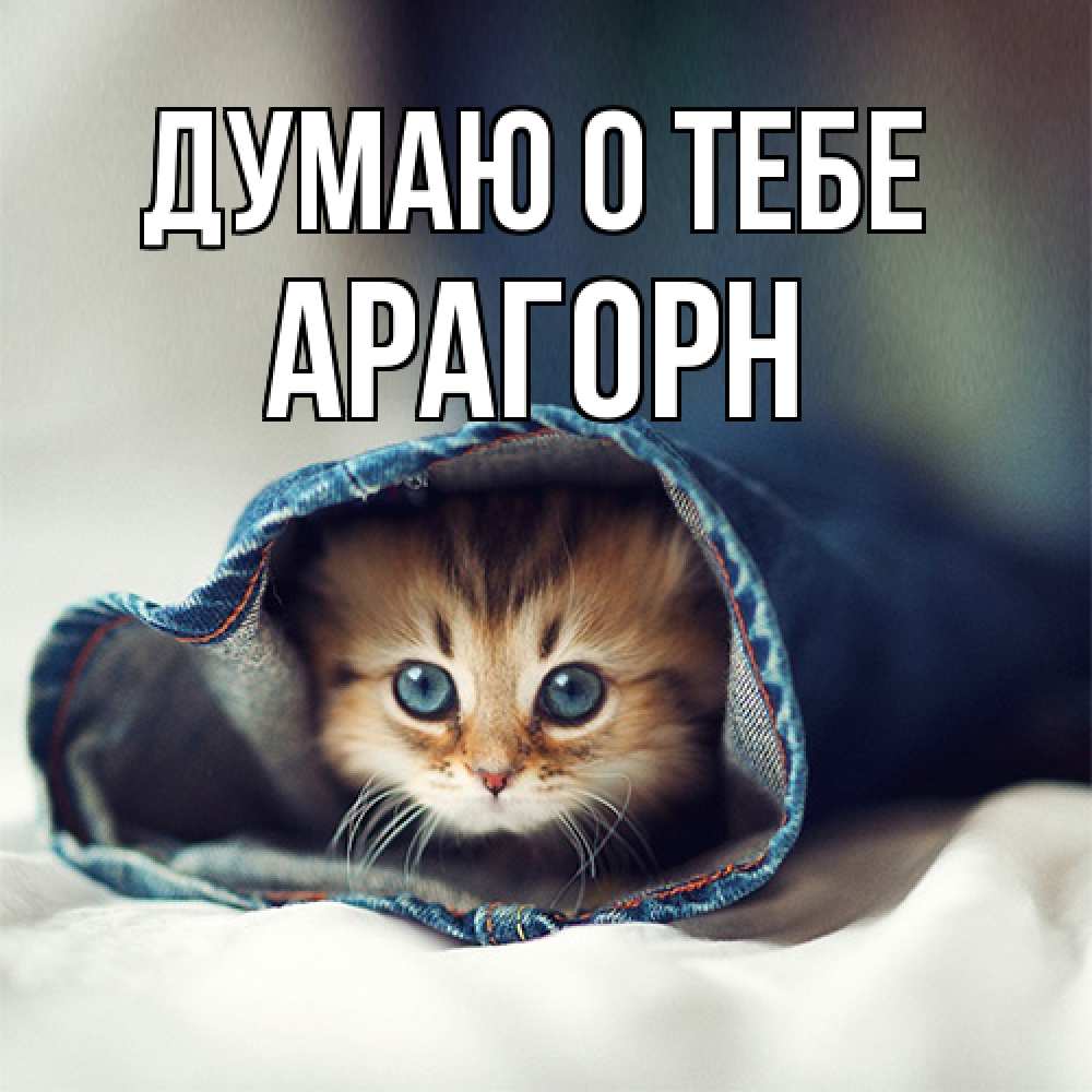 Открытка на каждый день с именем, Арагорн Думаю о тебе мне без тебя плохо Прикольная открытка с пожеланием онлайн скачать бесплатно 