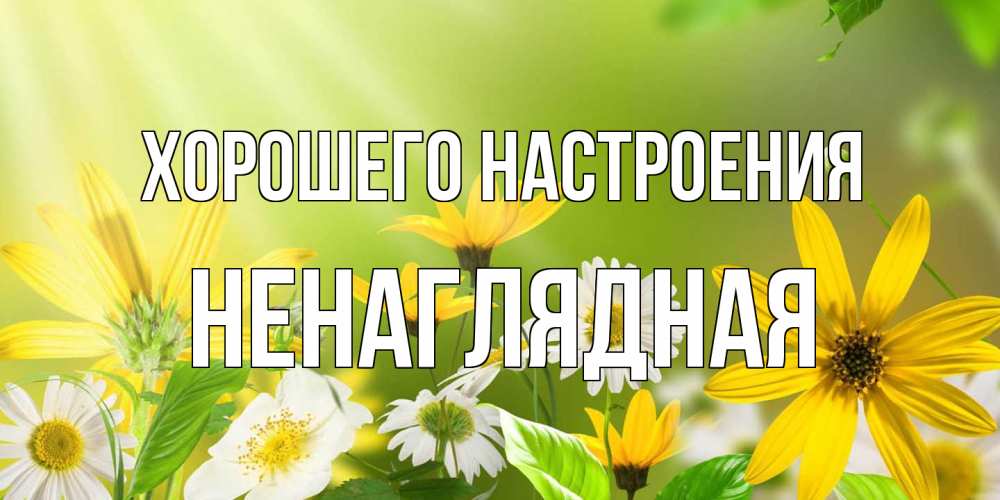 Открытка на каждый день с именем, Ненаглядная Хорошего настроения цветы Прикольная открытка с пожеланием онлайн скачать бесплатно 