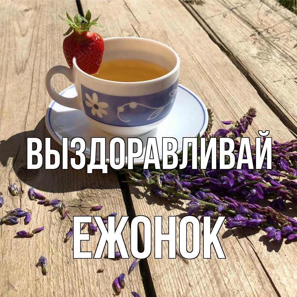 Открытка на каждый день с именем, Ежонок Выздоравливай чай Прикольная открытка с пожеланием онлайн скачать бесплатно 