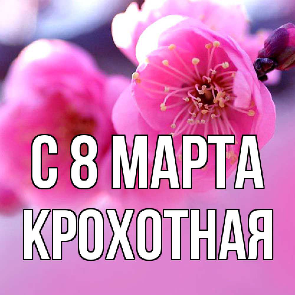 Открытка на каждый день с именем, Крохотная C 8 МАРТА международный женский день Прикольная открытка с пожеланием онлайн скачать бесплатно 