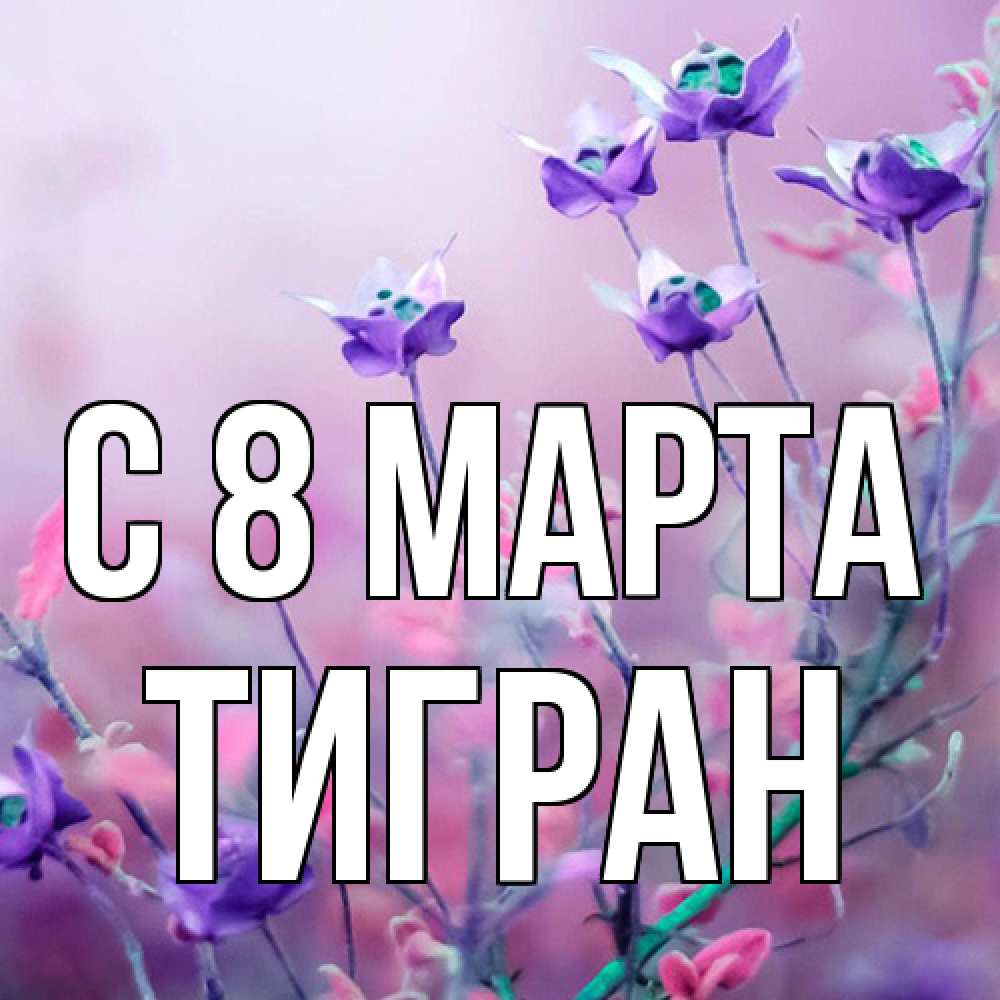 Открытка на каждый день с именем, Тигран C 8 МАРТА международный женский день 2 Прикольная открытка с пожеланием онлайн скачать бесплатно 