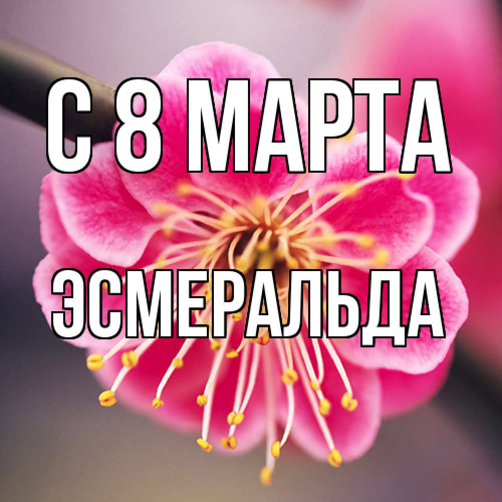 Открытка на каждый день с именем, Эсмеральда C 8 МАРТА цветы Прикольная открытка с пожеланием онлайн скачать бесплатно 