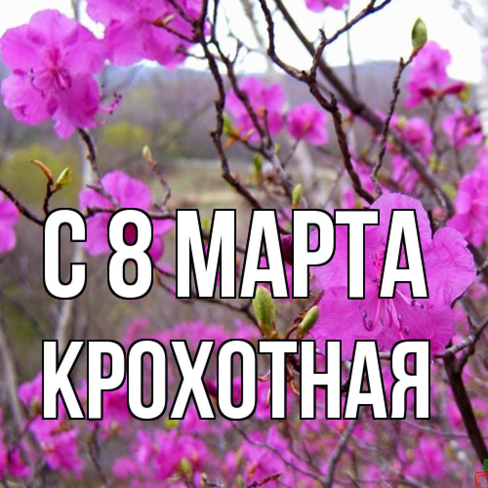 Открытка на каждый день с именем, Крохотная C 8 МАРТА международный женский день Прикольная открытка с пожеланием онлайн скачать бесплатно 