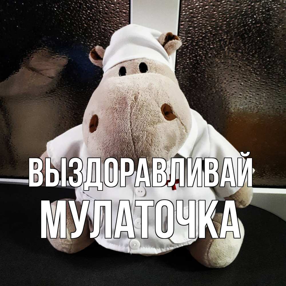 Открытка на каждый день с именем, Мулаточка Выздоравливай всех излечит исцелит Прикольная открытка с пожеланием онлайн скачать бесплатно 