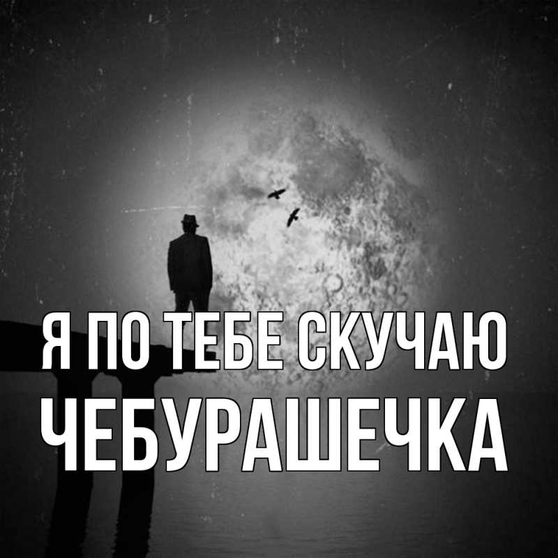 Картинка Я по тебе скучаю, Чебурашечка