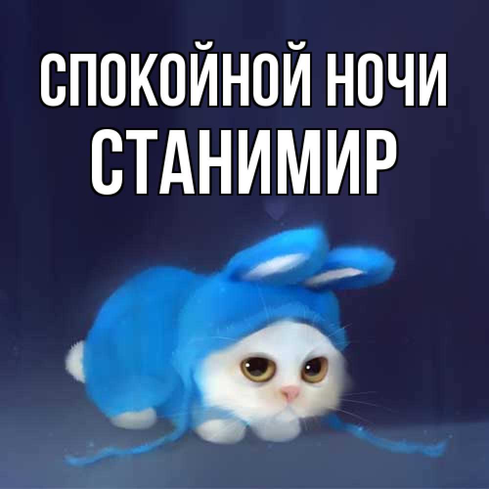 Открытка на каждый день с именем, Станимир Спокойной ночи кот в голубом костюме кролика с ушками Прикольная открытка с пожеланием онлайн скачать бесплатно 