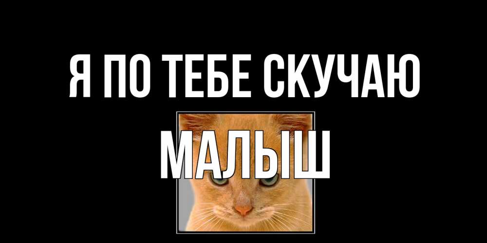 Открытка на каждый день с именем, Малыш Я по тебе скучаю открытки рыжий котенок скучает по тебе Прикольная открытка с пожеланием онлайн скачать бесплатно 