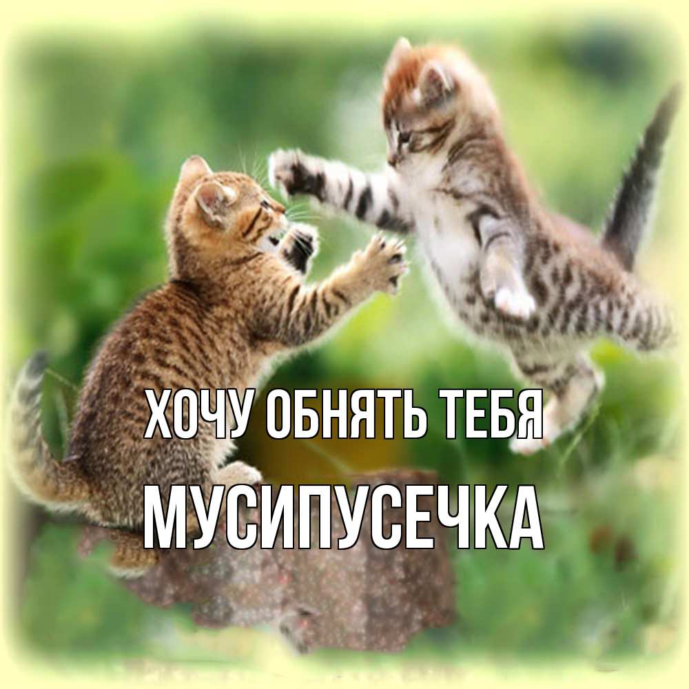 Открытка на каждый день с именем, Мусипусечка Хочу обнять тебя игры котят Прикольная открытка с пожеланием онлайн скачать бесплатно 