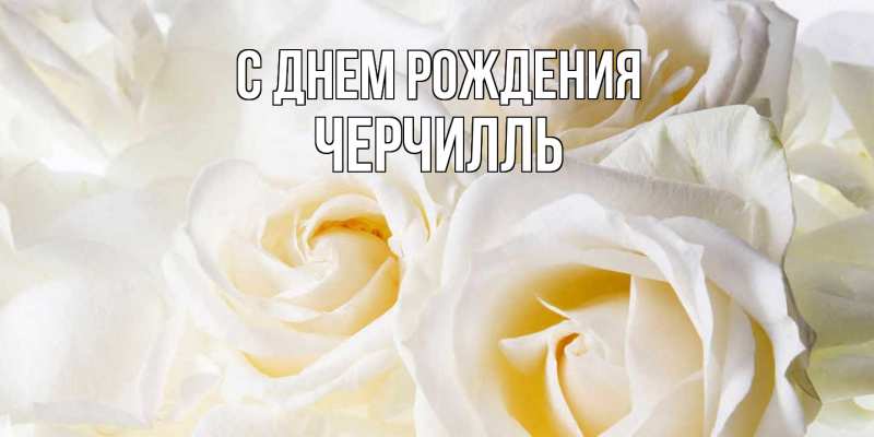 Картинка С днем рождения, Черчилль