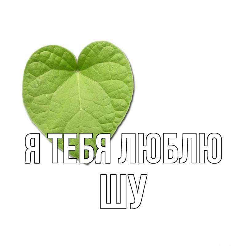 Картинка Я тебя люблю, Шу