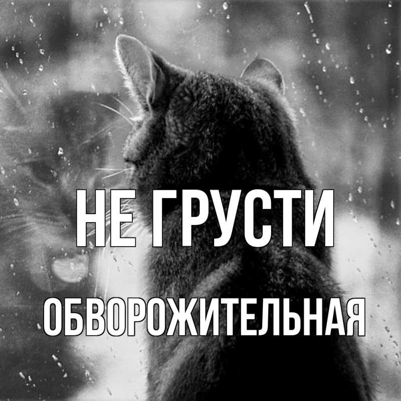 Картинка Не грусти, Обвоpожительная