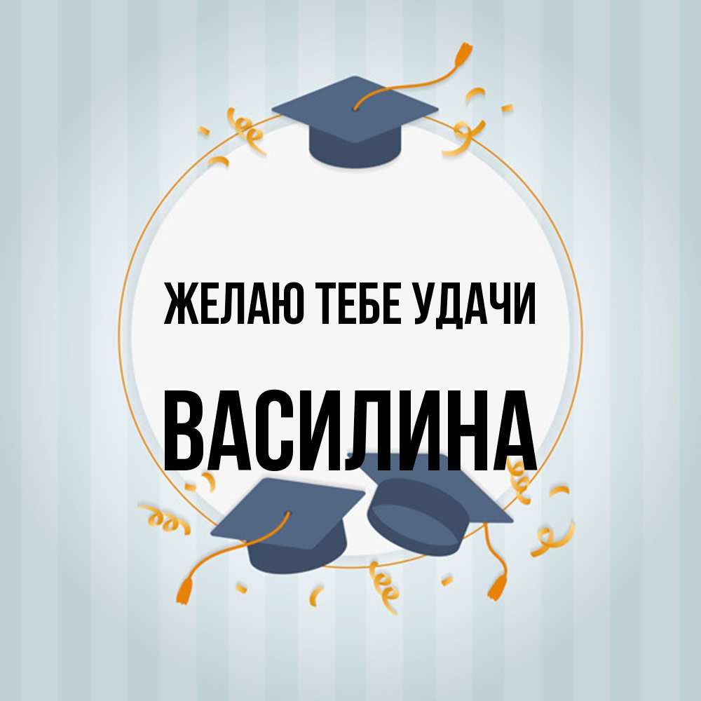 Открытка на каждый день с именем, Василина Желаю тебе удачи для студентов Прикольная открытка с пожеланием онлайн скачать бесплатно 