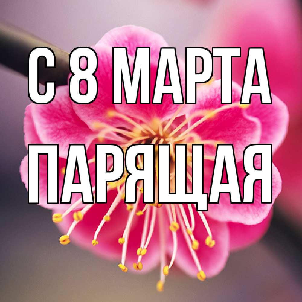 Открытка на каждый день с именем, Парящая C 8 МАРТА цветы Прикольная открытка с пожеланием онлайн скачать бесплатно 
