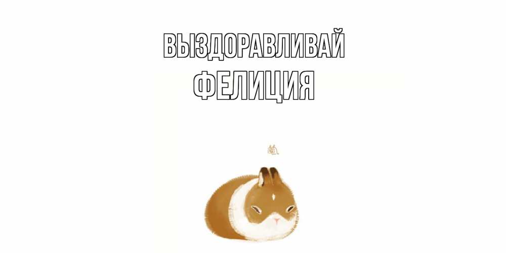 Открытка на каждый день с именем, Фелиция Выздоравливай морская свинка на открытке с пожеланиями не болеть Прикольная открытка с пожеланием онлайн скачать бесплатно 