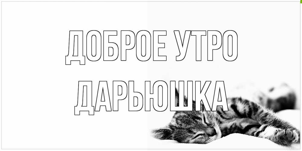 Открытка на каждый день с именем, Дарьюшка Доброе утро котуся Прикольная открытка с пожеланием онлайн скачать бесплатно 