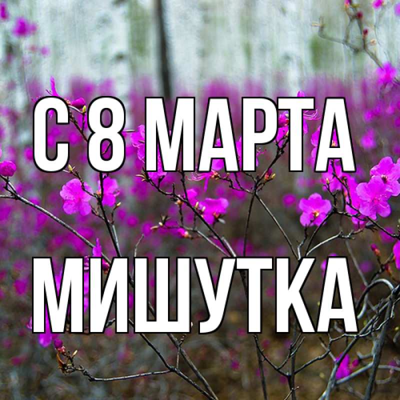 Картинка C 8 МАРТА, Мишутка