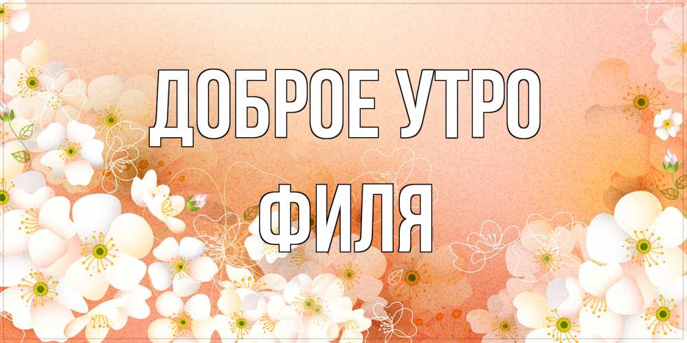 Открытка на каждый день с именем, Филя Доброе утро доброе утро с цветами Прикольная открытка с пожеланием онлайн скачать бесплатно 