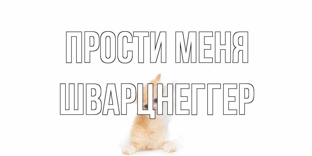 Открытка на каждый день с именем, Шварцнеггер Прости меня кот Прикольная открытка с пожеланием онлайн скачать бесплатно 