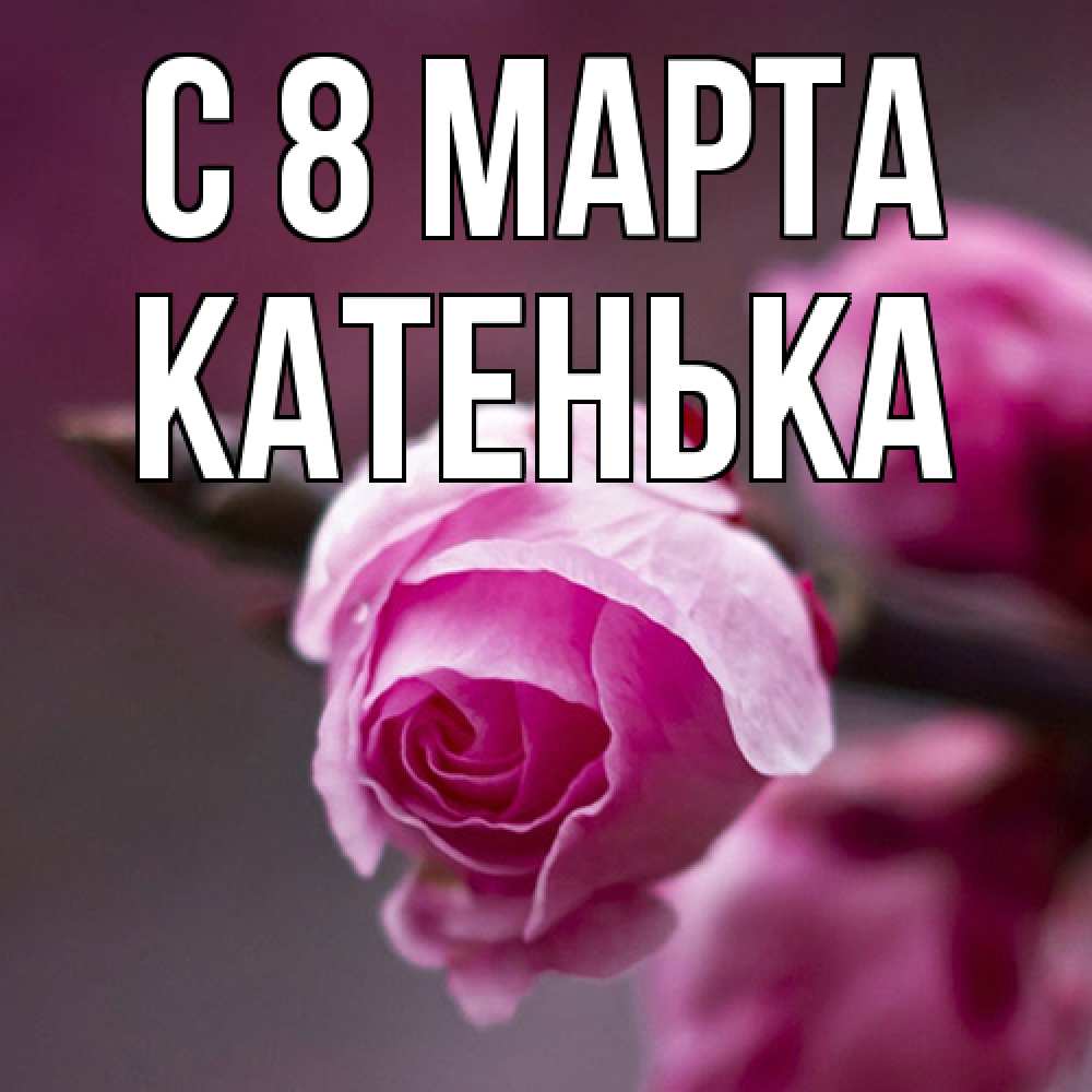 Открытка на каждый день с именем, Катенька C 8 МАРТА весна Прикольная открытка с пожеланием онлайн скачать бесплатно 