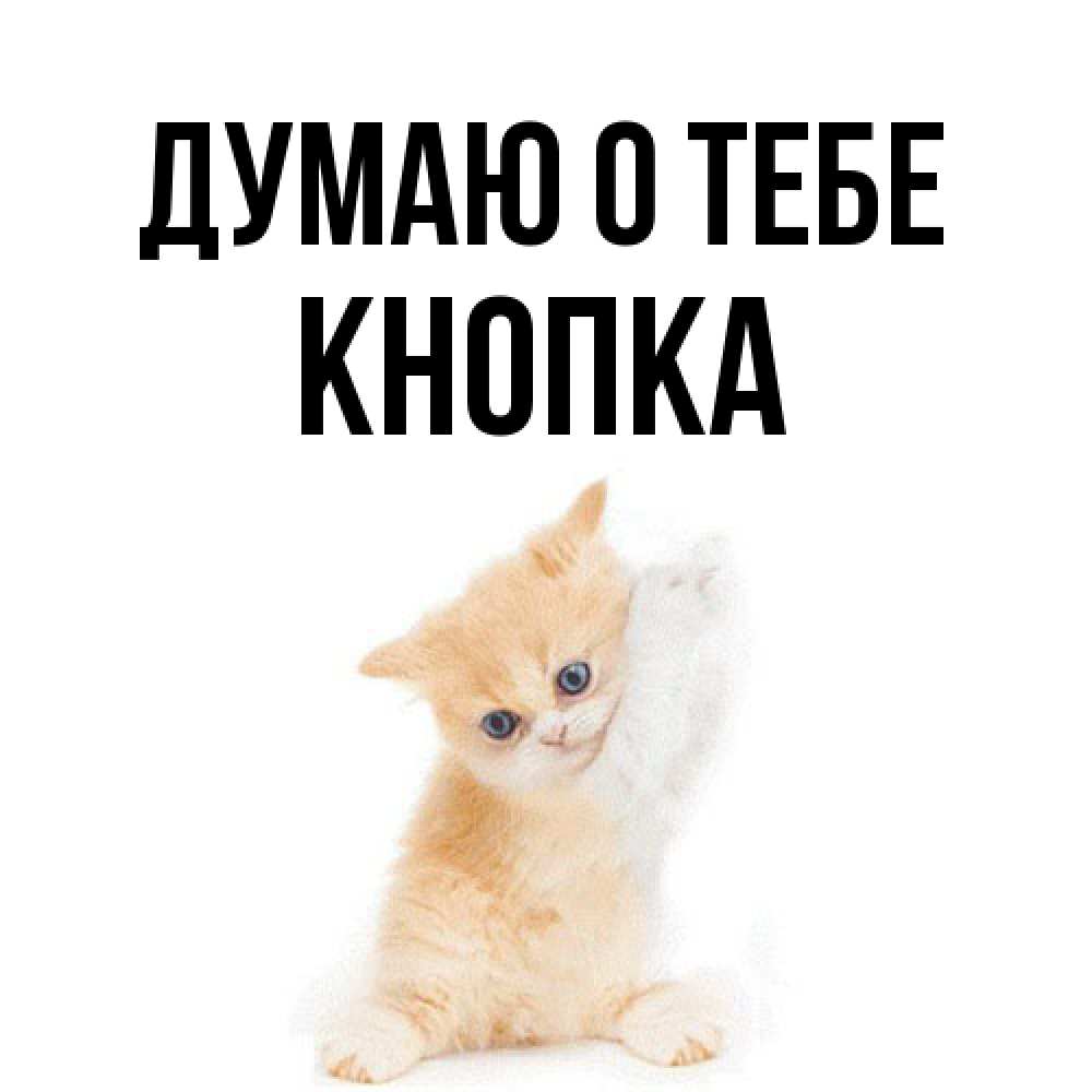 Открытка на каждый день с именем, Кнопка Думаю о тебе зверушки и милота Прикольная открытка с пожеланием онлайн скачать бесплатно 