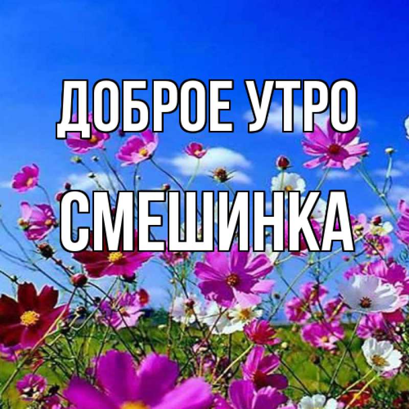 Картинка Доброе утро, Смешинка