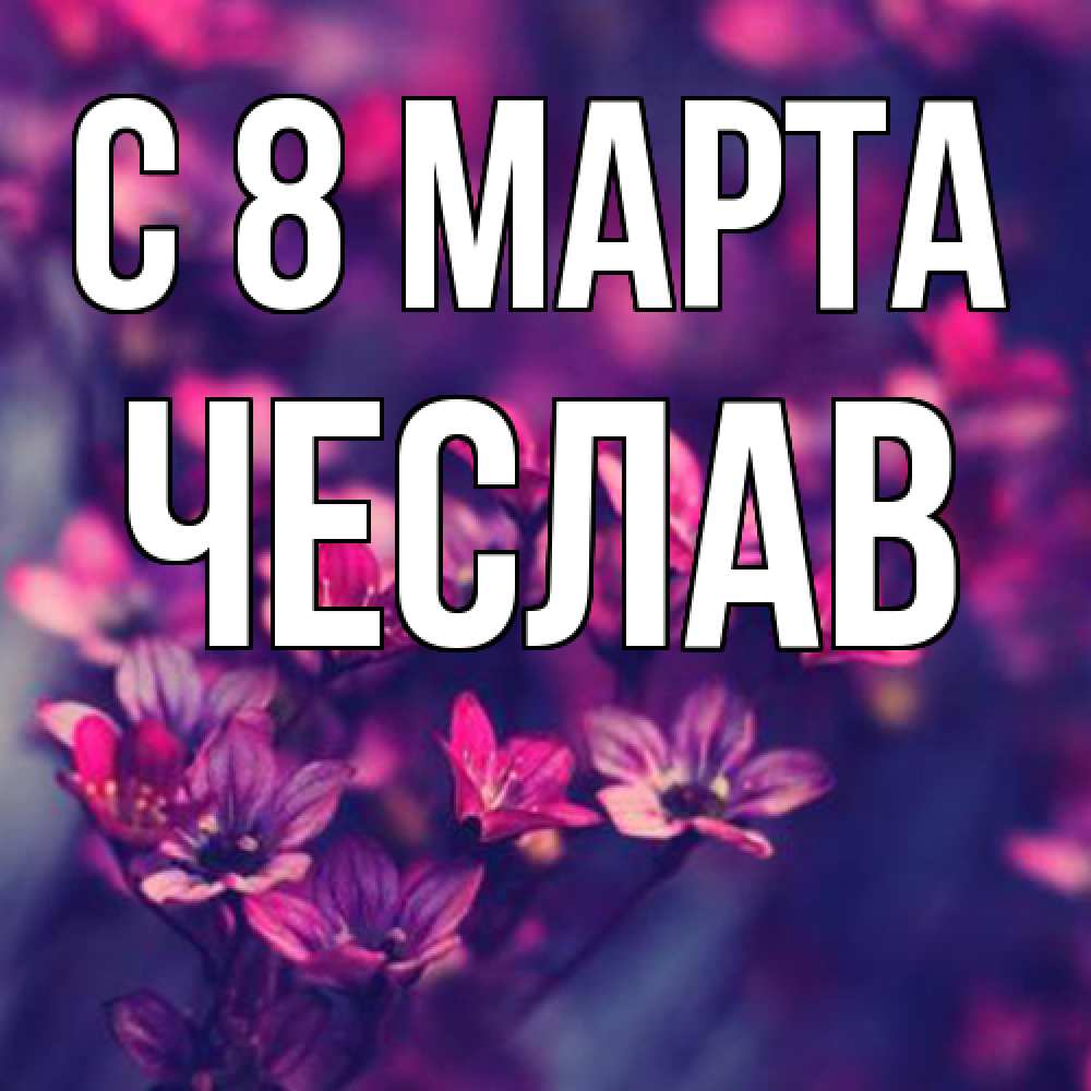 Открытка на каждый день с именем, Чеслав C 8 МАРТА небольшие цветы 1 Прикольная открытка с пожеланием онлайн скачать бесплатно 