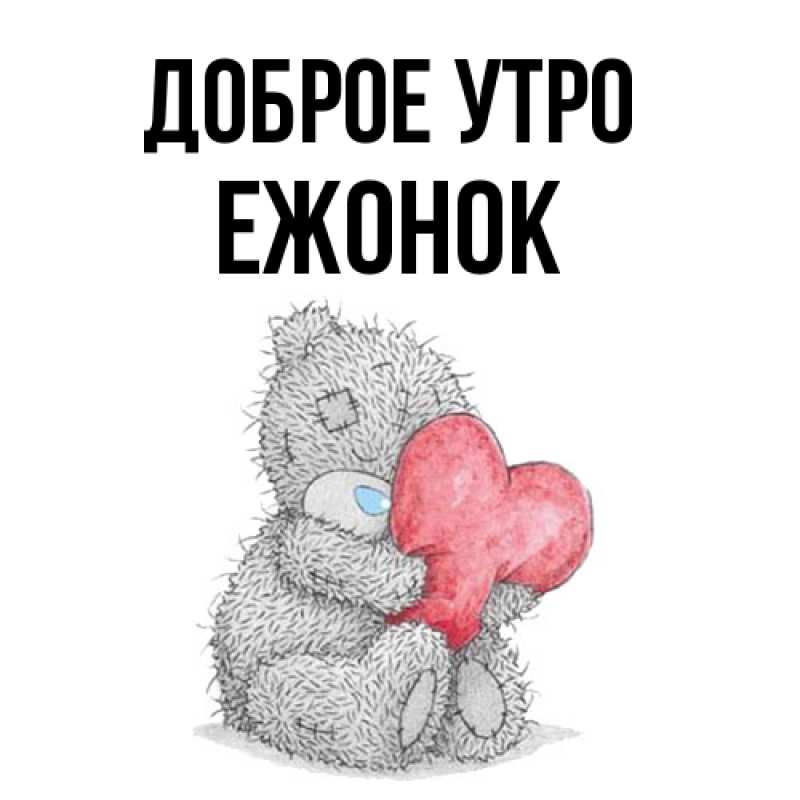 Картинка Доброе утро, Ежонок