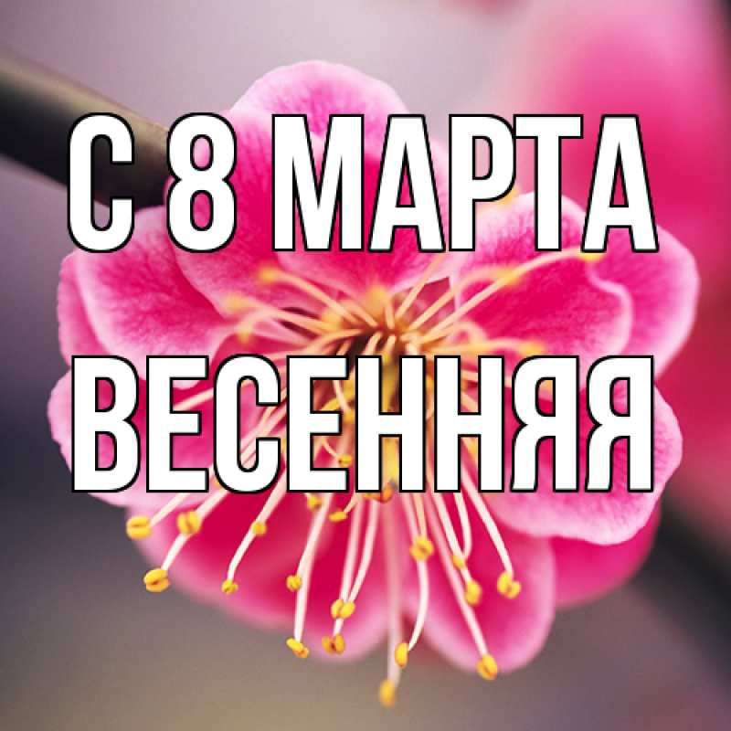 Картинка C 8 МАРТА, Весенняя