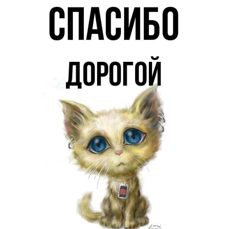 Картинка Спасибо, Дорогой
