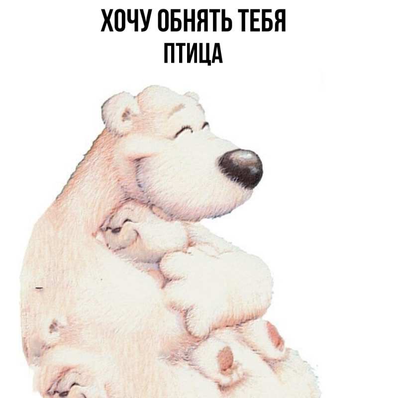Картинка Хочу обнять тебя, Птица