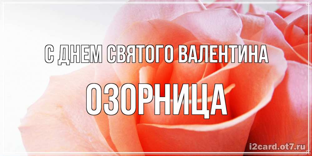 Открытка на каждый день с именем, Озорница С днем Святого Валентина открытка на день Святого Валентина с розовой розой Прикольная открытка с пожеланием онлайн скачать бесплатно 