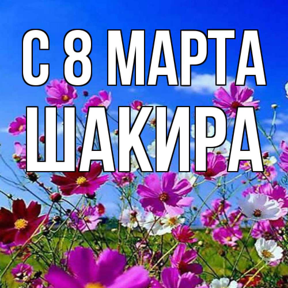 Открытка на каждый день с именем, Шакира C 8 МАРТА цветы Прикольная открытка с пожеланием онлайн скачать бесплатно 