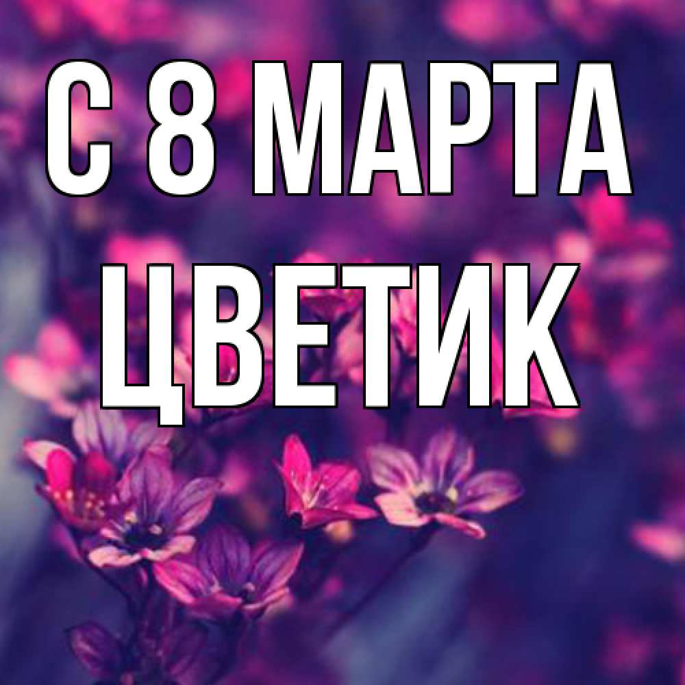 Открытка на каждый день с именем, цветик C 8 МАРТА небольшие цветы 1 Прикольная открытка с пожеланием онлайн скачать бесплатно 