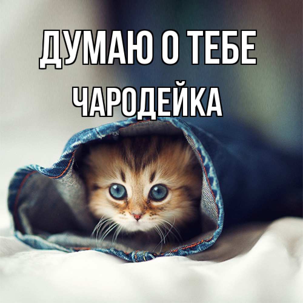 Открытка на каждый день с именем, Чаpодейка Думаю о тебе мне без тебя плохо Прикольная открытка с пожеланием онлайн скачать бесплатно 