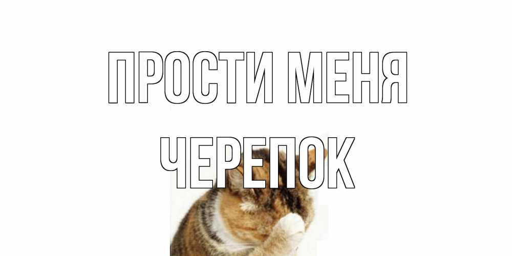 Открытка на каждый день с именем, Черепок Прости меня кот Прикольная открытка с пожеланием онлайн скачать бесплатно 